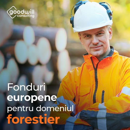 Investiții în technologii forestiere (DR 24)