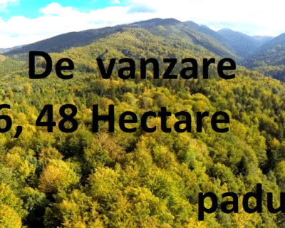 fagaras_paduri