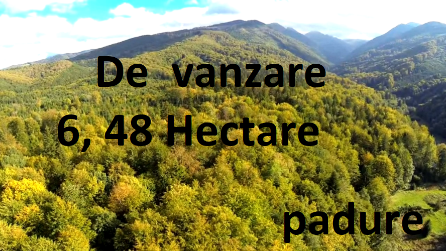 Vând pădure