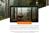 Prezent Online – Soluția modernă pentru domeniul forestier
