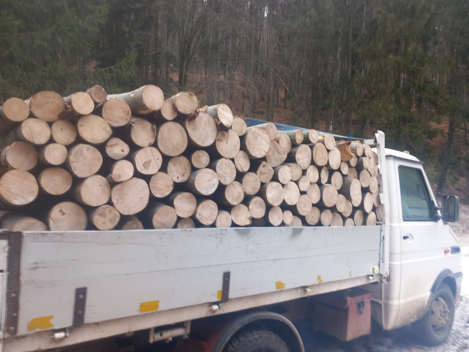 Lemn de foc in Jud. Bacău