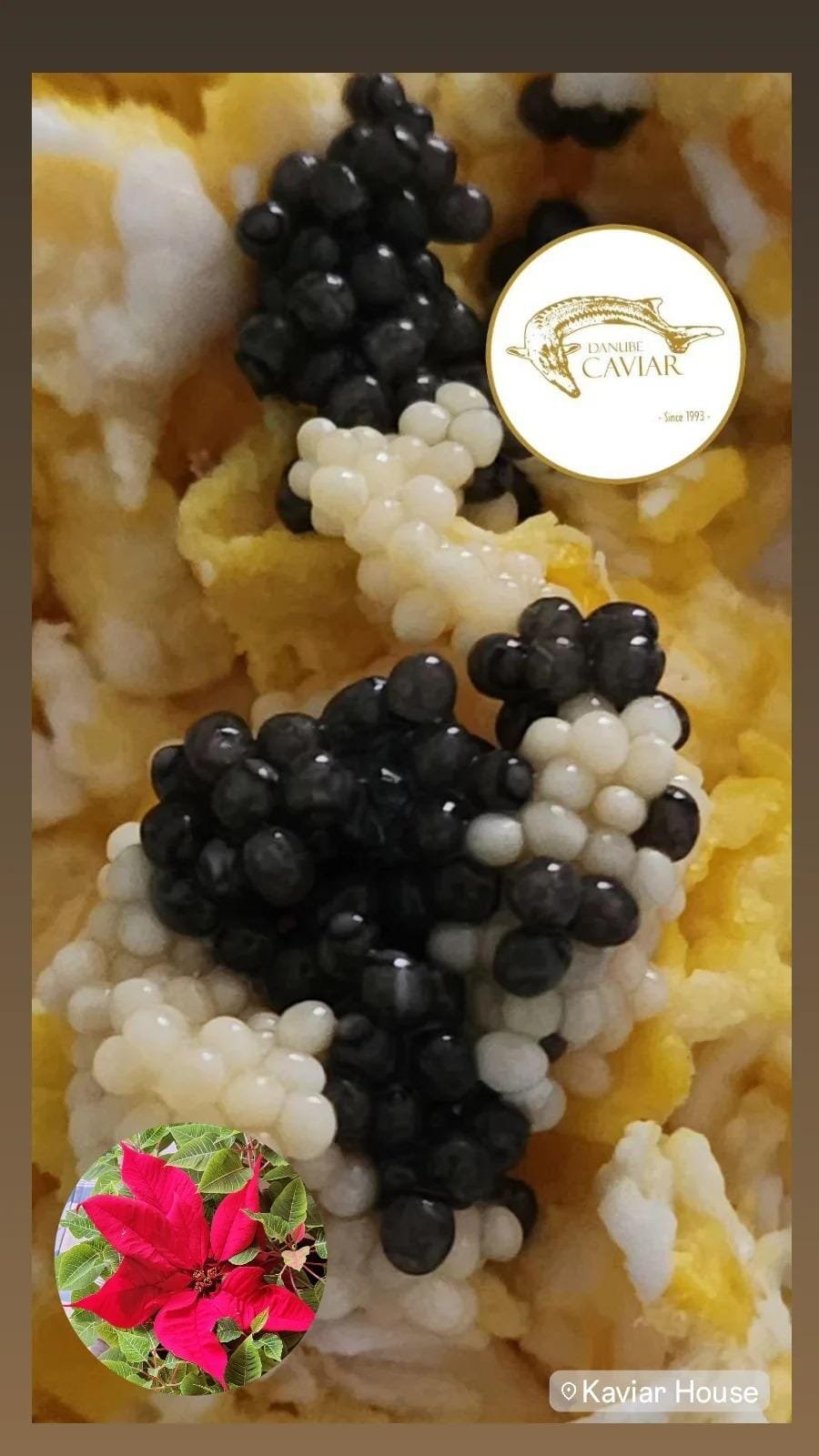 Danube Caviar
