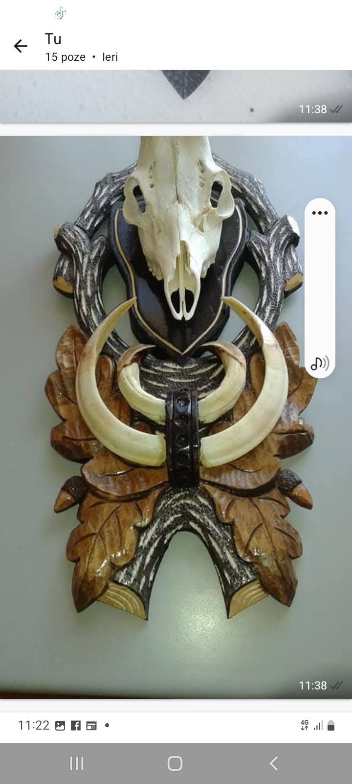 Panoplii cerb, mistreț si căprior .