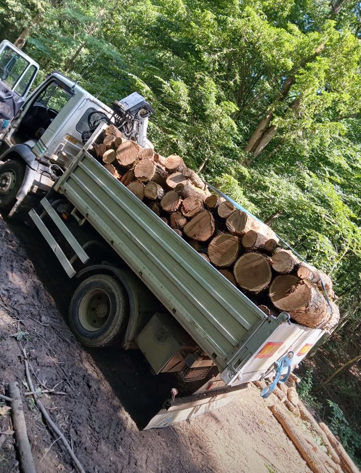 Lemn de foc esență tare: cer și stejar.