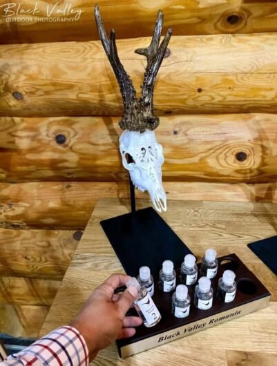 Hunting trophies Sculpture, Romania Certificate of authenticity Your trophy becomes art