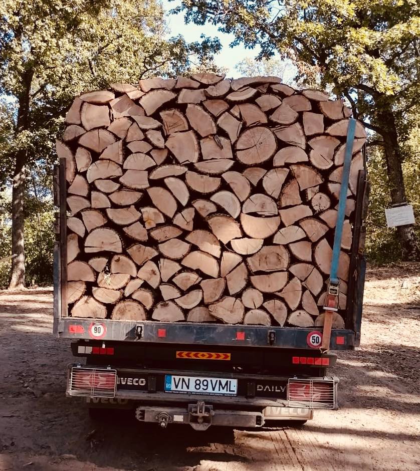 LEMNE DE FOC – ESENȚĂ TARE