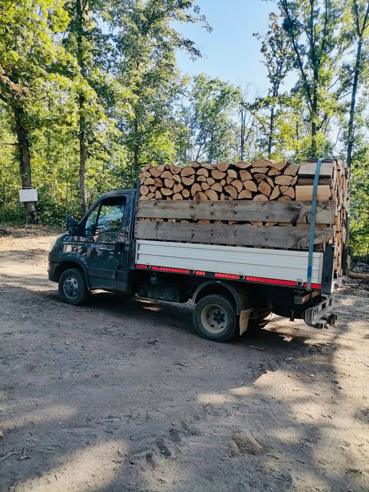 LEMNE DE FOC – ESENȚĂ TARE