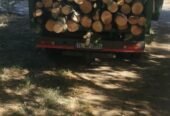 Avem la dispoziție 10 autolitare care face trasoort an tot județul Tulcea