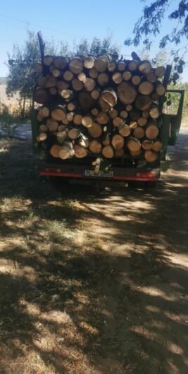 Avem la dispoziție 10 autolitare care face trasoort an tot județul Tulcea