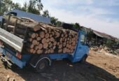 Avem la dispoziție 10 autolitare care face trasoort an tot județul Tulcea