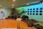 Expoziția permanentă „Mistrețul: Puterea Sălbăticiei!”