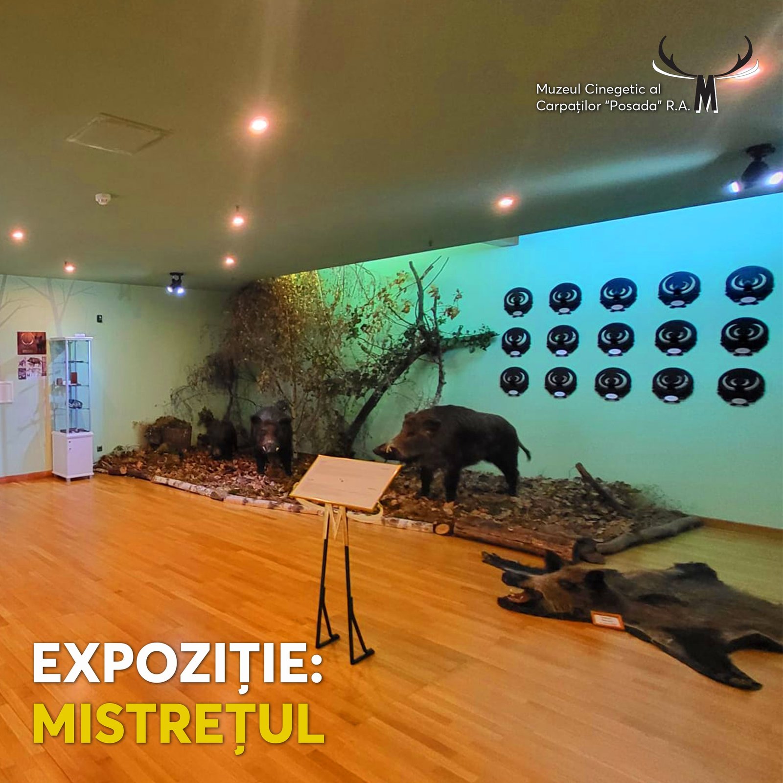 Expoziția permanentă „Mistrețul: Puterea Sălbăticiei!”