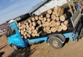 Lemn de foc calitate și cantitate aștept să mă contactați la nr de telefon 0775329880