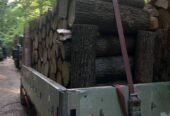 Lemne de foc, STEJAR Buștean (Ofertă 1700 lei) masina Pentru mai multe detalii sunați la nr 0787578055