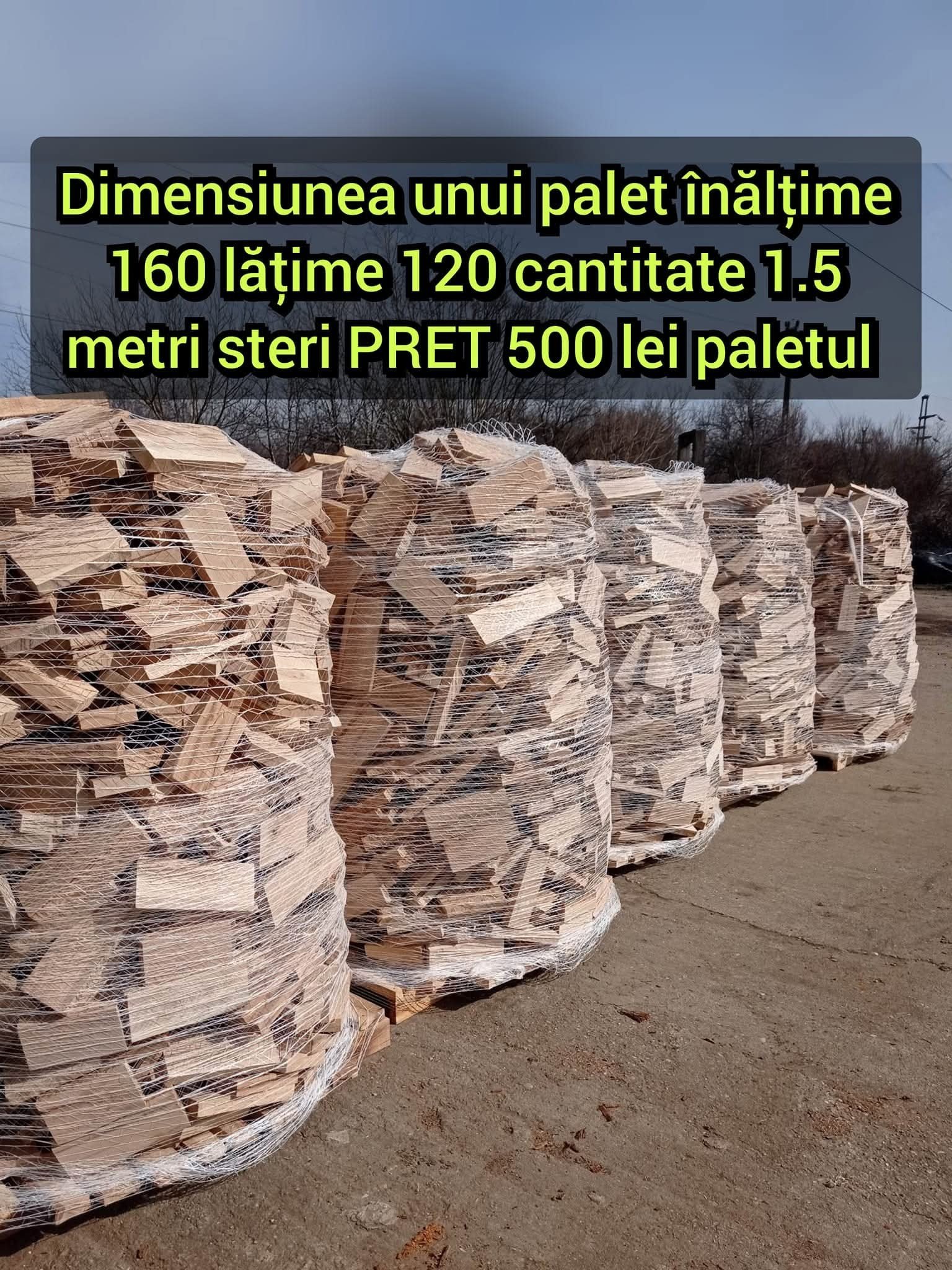 Depozit lemne de foc Arad