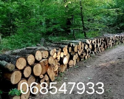 545576850_801617339056217_2062125217458136295_n