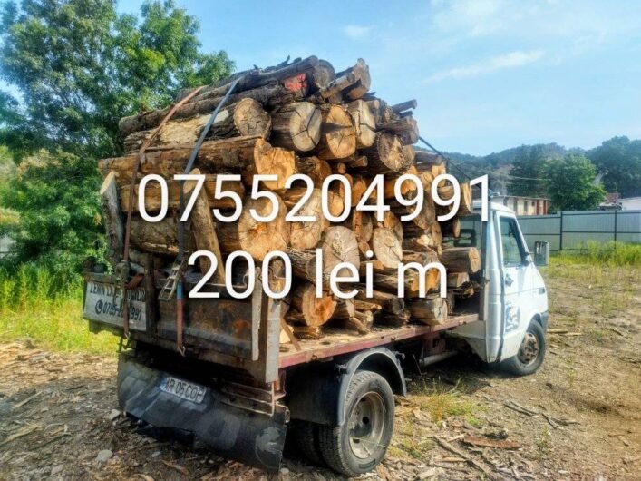 Dimar Forest