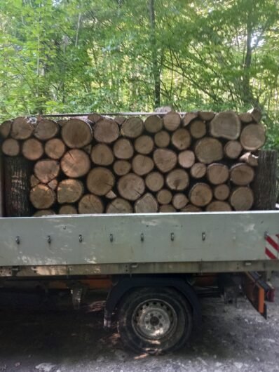 Lemne de foc, STEJAR Buștean (Ofertă 1700 lei) masina Pentru mai multe detalii sunați la nr 0787578055