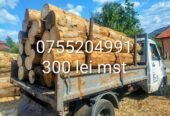 Dimar Forest