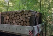 Lemne de foc, STEJAR Buștean (Ofertă 1700 lei) masina Pentru mai multe detalii sunați la nr 0787578055