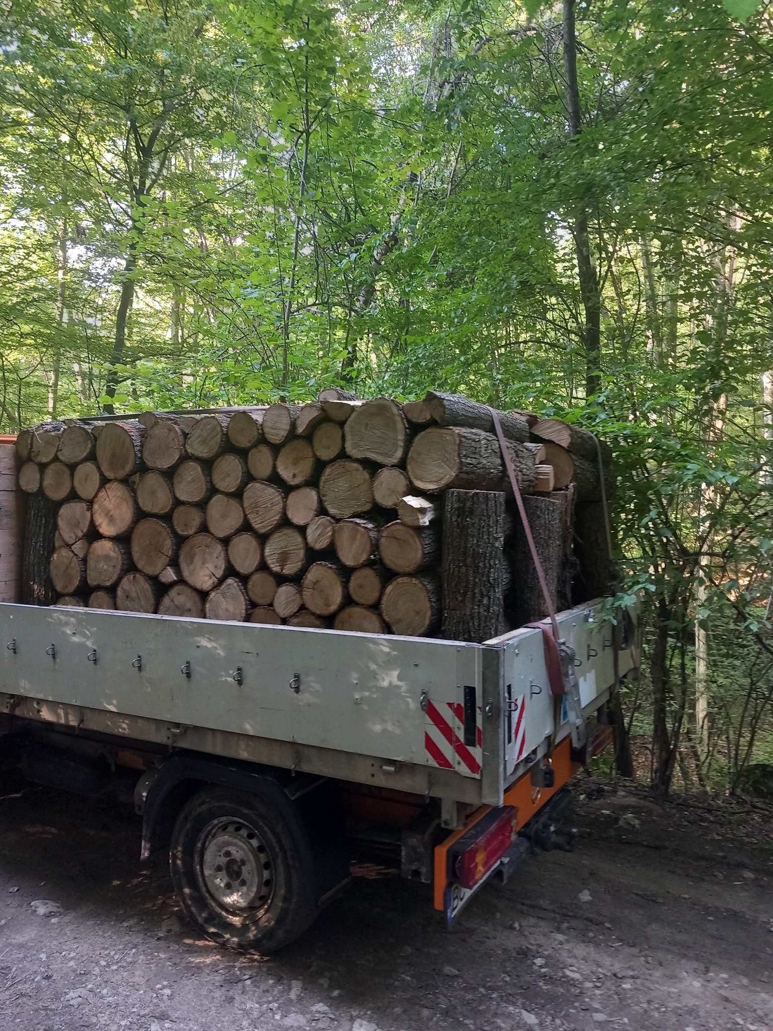 Lemne de foc, STEJAR Buștean (Ofertă 1700 lei) masina Pentru mai multe detalii sunați la nr 0787578055