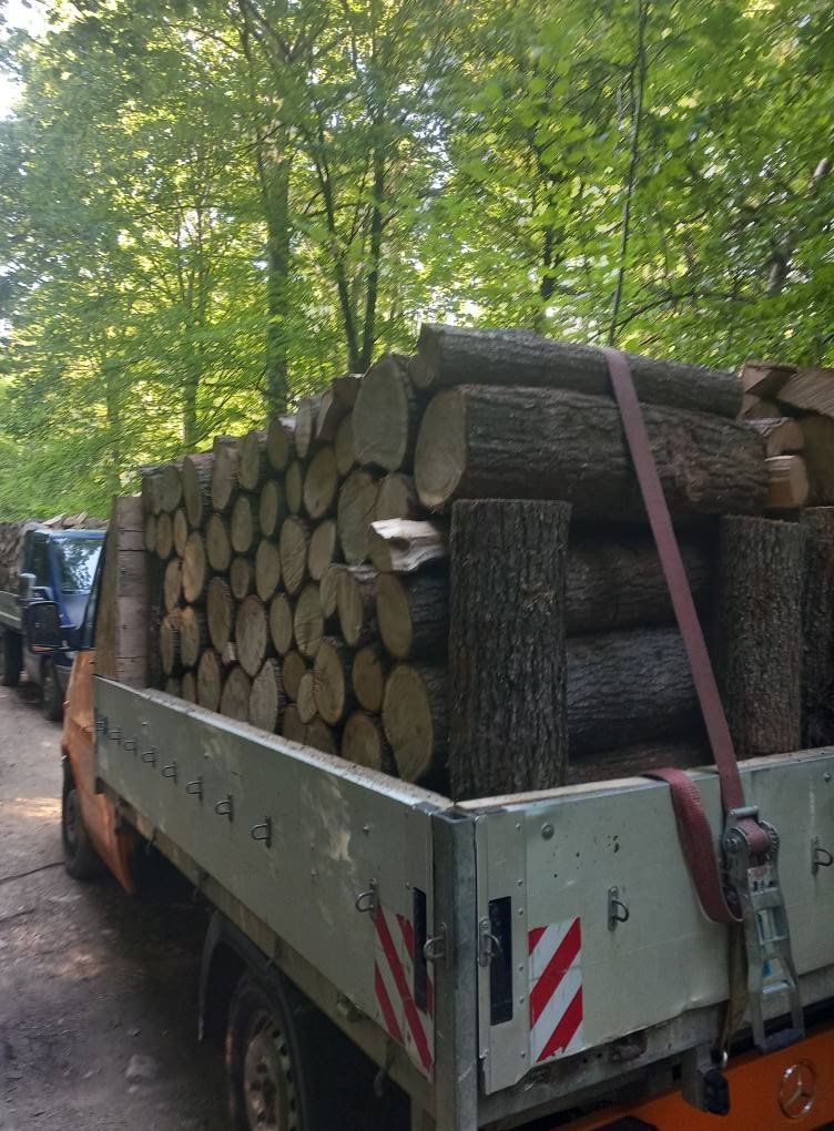 Lemne de foc, STEJAR Buștean (Ofertă 1700 lei) masina Pentru mai multe detalii sunați la nr 0787578055