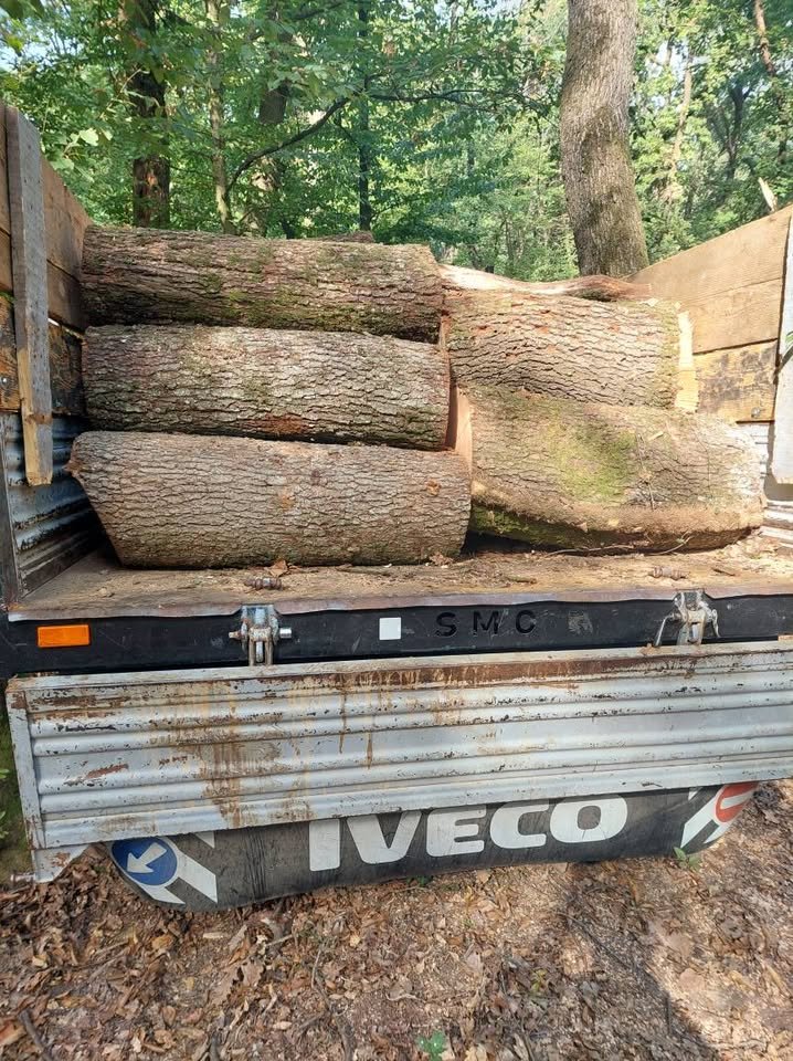 Lemne de foc de vanzare esență tare