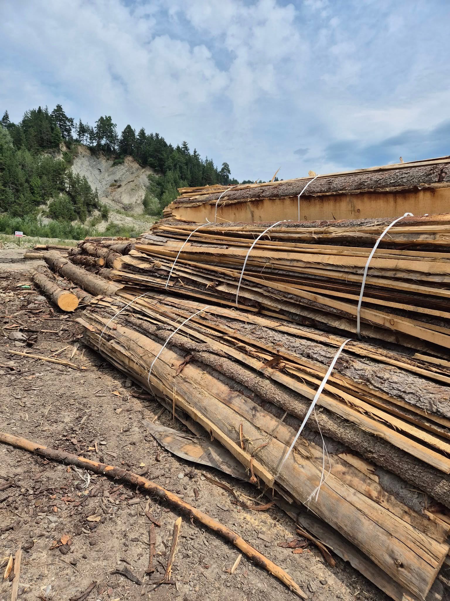 Vând paleți deșeuri brad și lemn de foc ✅️✅️✅️ 0721550322