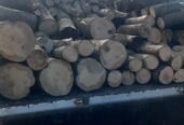 Vând lemne de foc asigur transport la domiciliu oriunde doriți în jud, Botoșani,