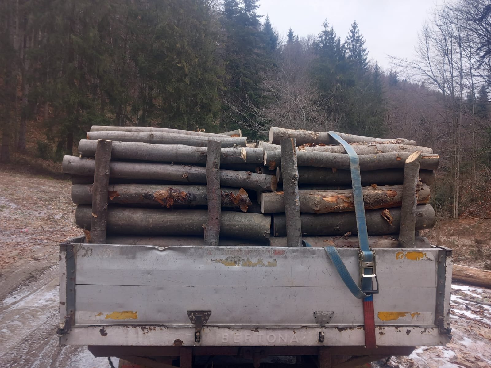 Lemn de foc in jud Vrancea