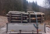 Lemn de foc in Jud. Bacău