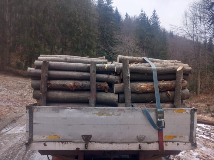 Lemn de foc in Onești si împrejurimi