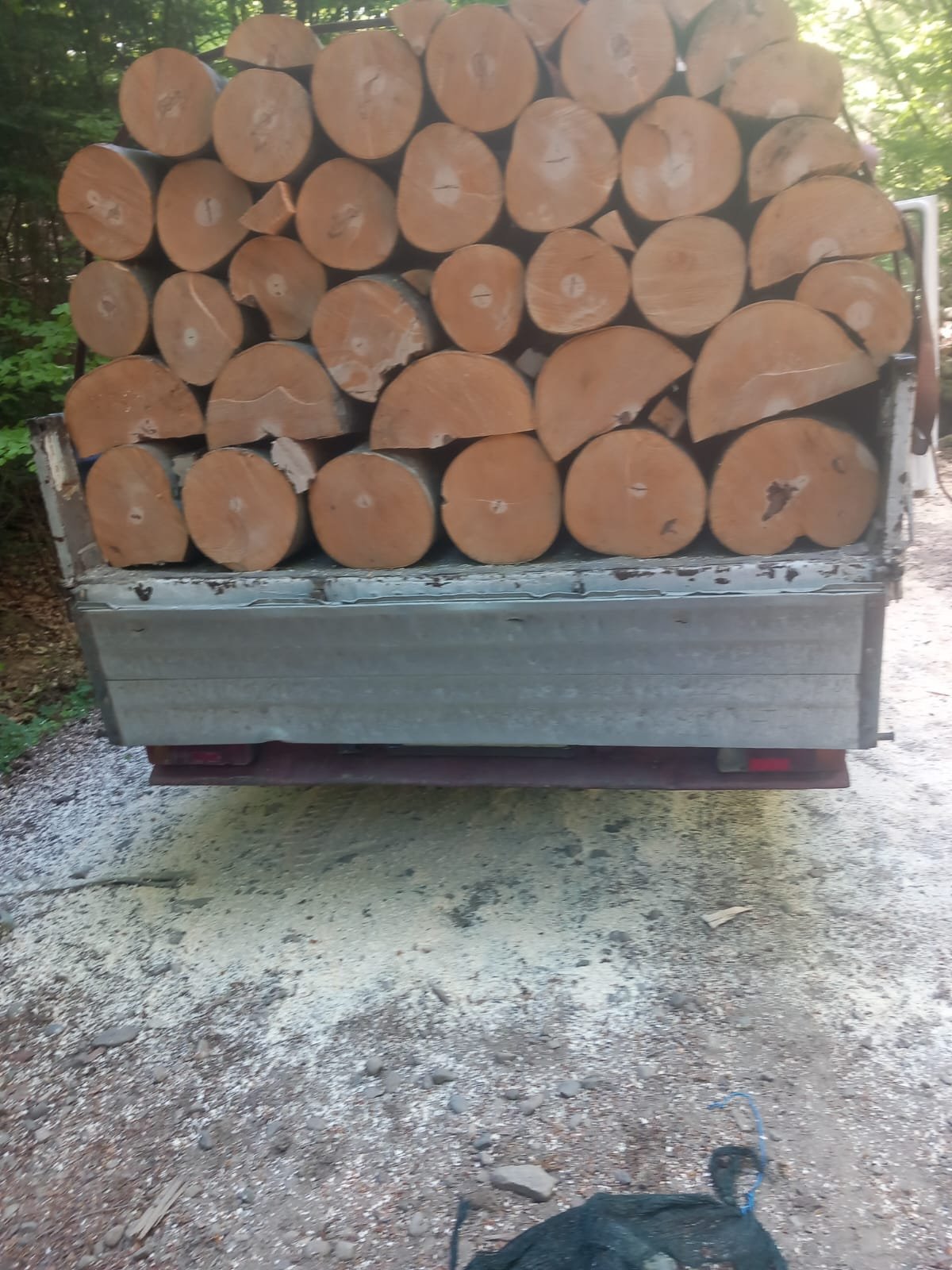 Lemn de foc in Jud. Bacău