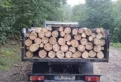 Vând lemne pentru foc