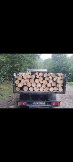 Vând lemne pentru foc