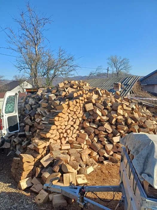 Lemne foc..Fag+ diverse tari