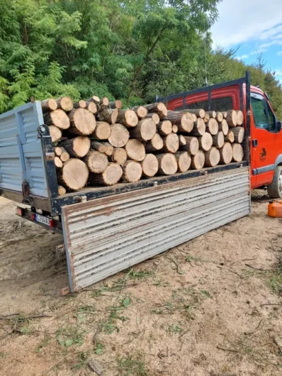 Sc Vindem lemn de foc adus acasă la client