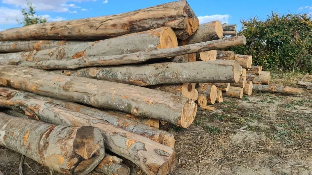 Vand lemn de foc Bogdanesti