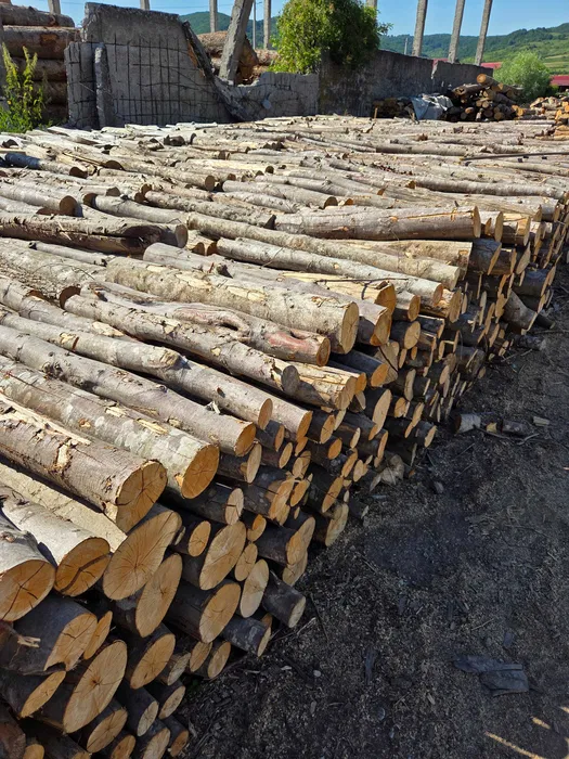 Lemn de foc esență tare cu livrare în județul Bistrița-Năsăud