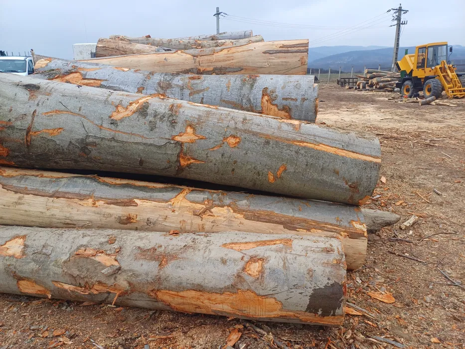 Lemn de foc- „”FAG””