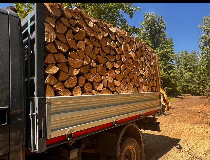 Lemne de foc paletizate