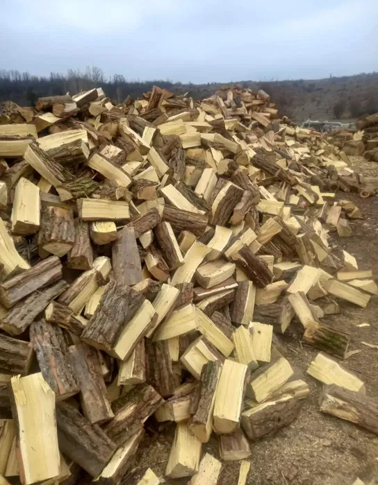 Lemn de foc salcâm uscat sau verde 700 tona /400metrul