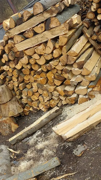 vand lemne de foc de fag