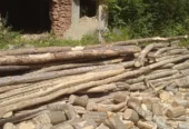 Vând lemne pentru foc