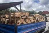 Vand lemn de Foc : Fag , Brad