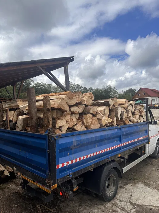 Vand lemn de Foc : Fag , Brad