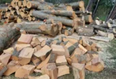 Sc Vindem lemn de foc adus acasă la client
