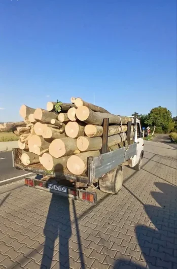 Lemn de Foc FAG ,Cele mai bune preturi !!! Tot judetul Hunedoara !
