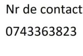 Lemne foc Salcam esenta tare sau esenta moale