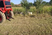 Vând tractor u650
